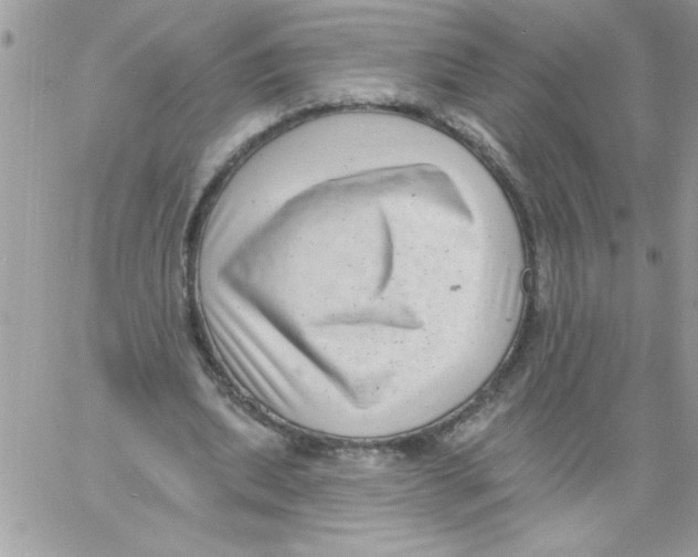 X0000061730439200512302150