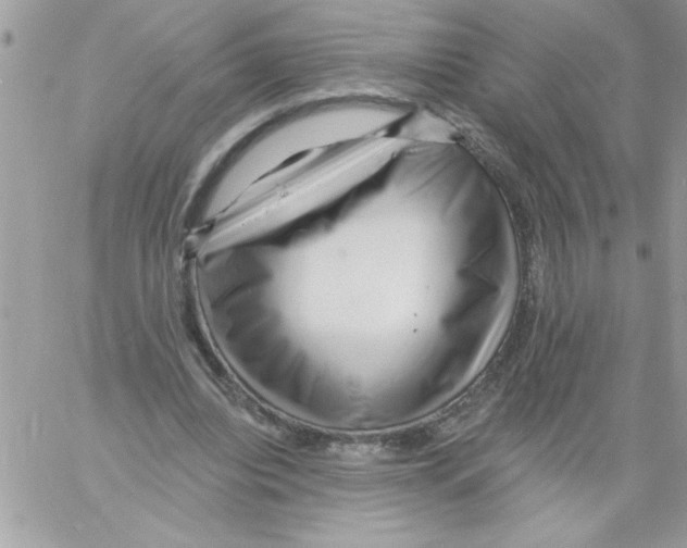 X0000061730440200512302150