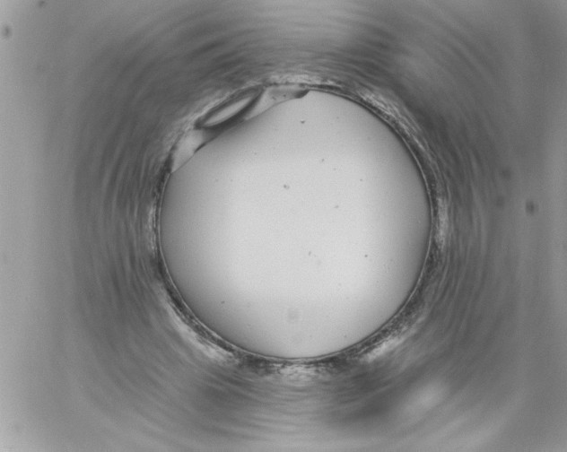 X0000061730441200512302150