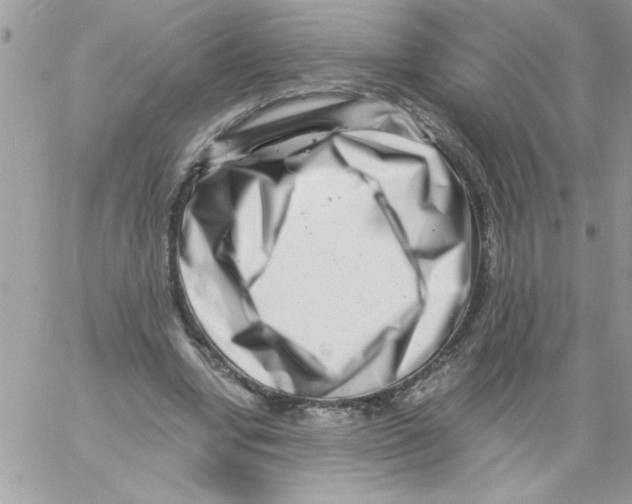 X0000061730442200512302150