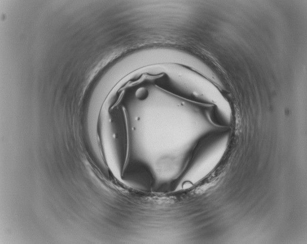 X0000061730443200512302150