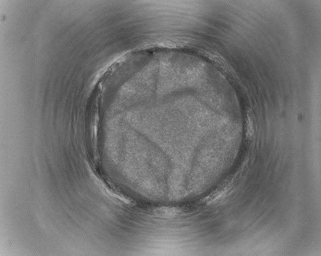 X0000061730444200512302150