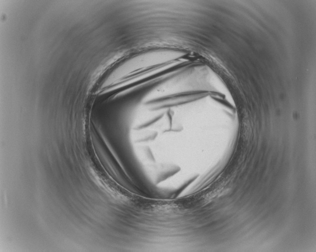 X0000061730446200512302150