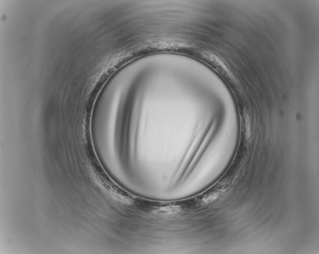 X0000061730447200512302150