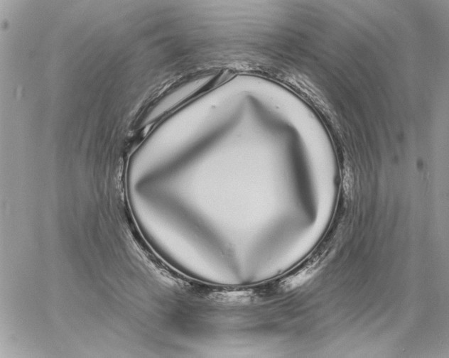 X0000061730449200512302150