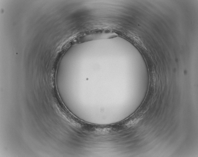 X0000061730450200512302150