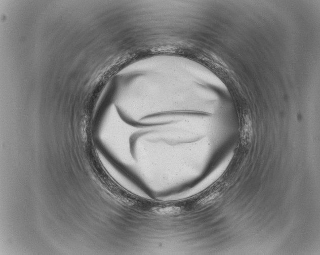 X0000061730452200512302150