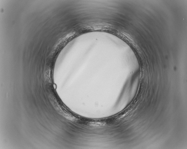 X0000061730453200512302150