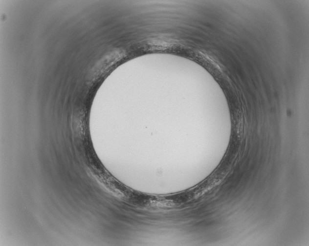 X0000061730455200512302150