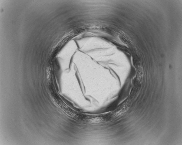 X0000061730456200512302150