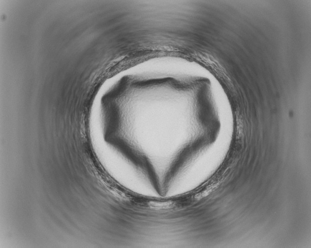 X0000061730457200512302150