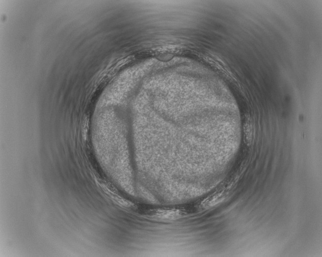 X0000061730458200512302150