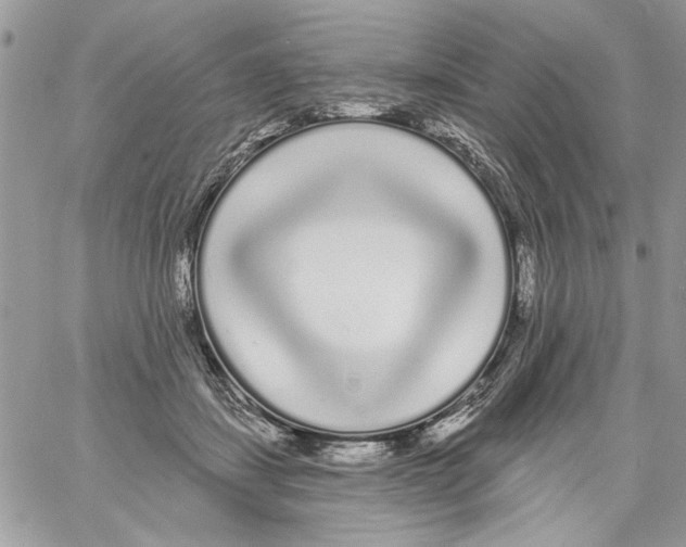 X0000061730459200512302150