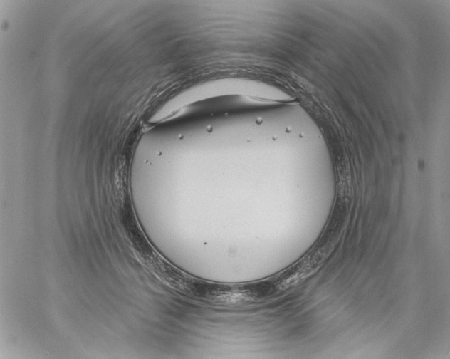 X0000061730460200512302150