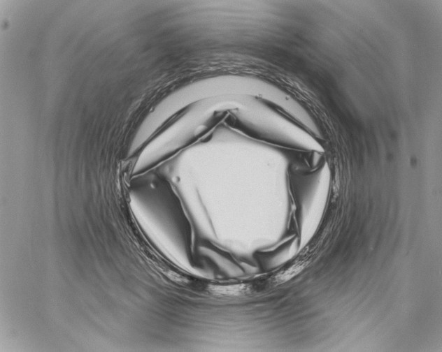 X0000061730461200512302150