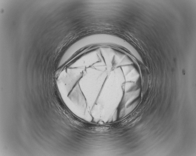 X0000061730462200512302150