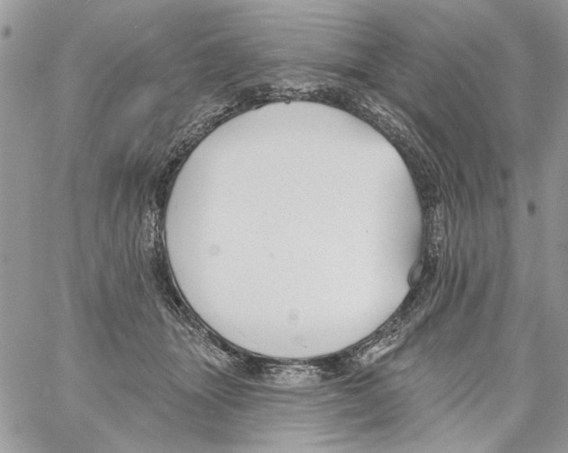 X0000061730463200512302150