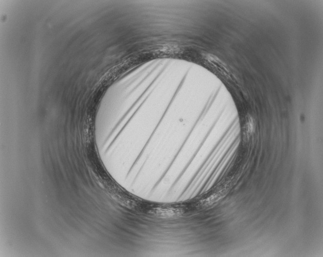 X0000061730464200512302150