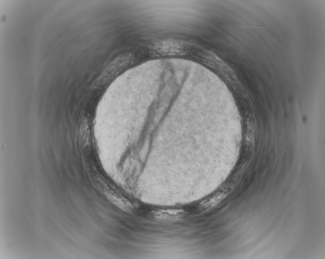 X0000061730465200512302150