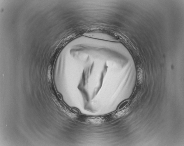 X0000061730466200512302150