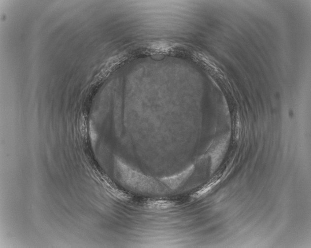 X0000061730467200512302150