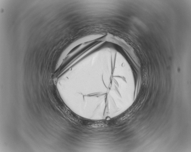 X0000061730468200512302150