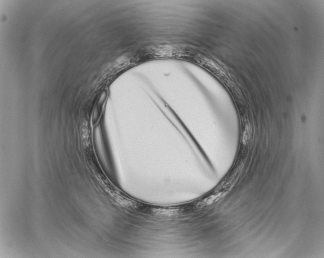 X0000061730469200512302150