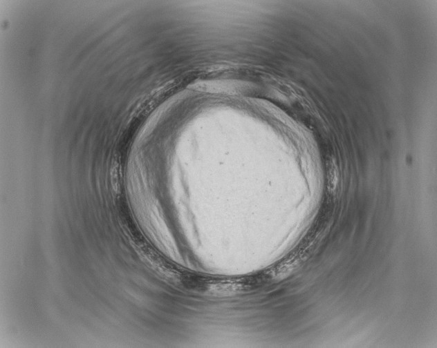 X0000061730470200512302150