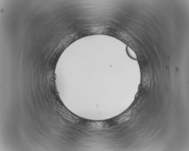 X0000061730473200512302150