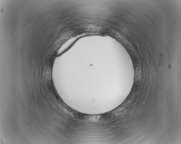 X0000061730474200512302150