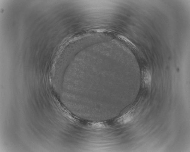 X0000061730475200512302150