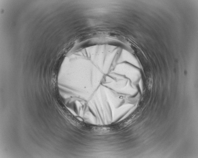 X0000061730476200512302150