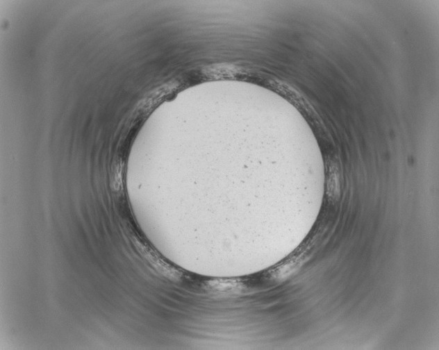 X0000061730477200512302150