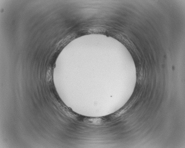 X0000061730478200512302150