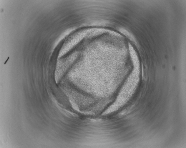 X0000061730483200512302150