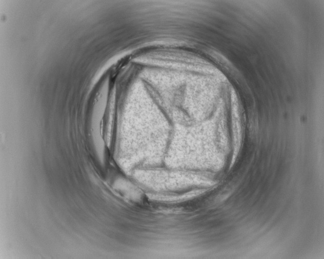 X0000061730484200512302149