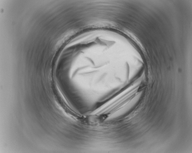 X0000061730485200512302149