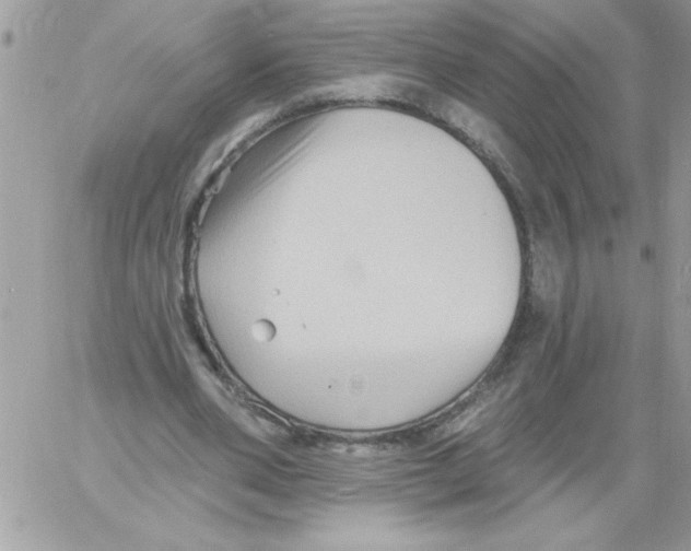 X0000061730486200512302149