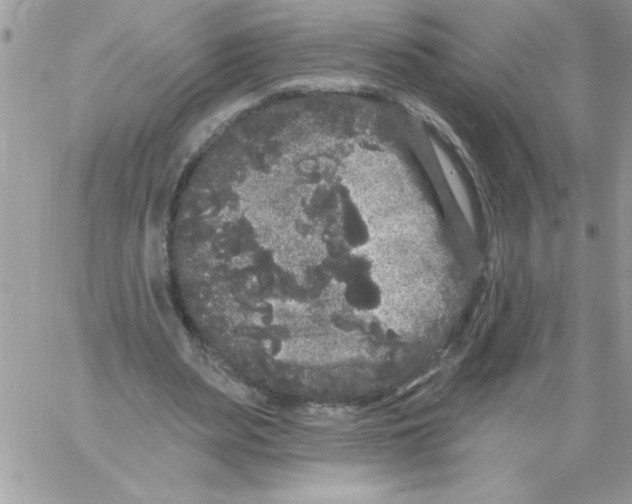 X0000061730487200512302149