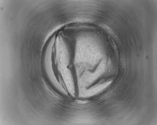 X0000061730488200512302149