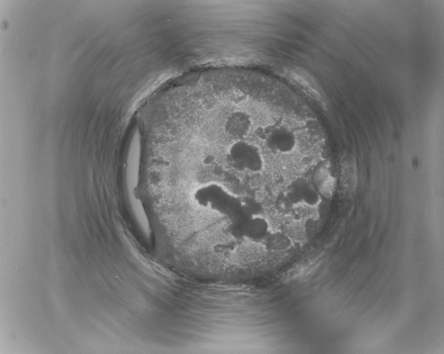 X0000061730491200512302149