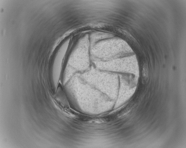 X0000061730492200512302149