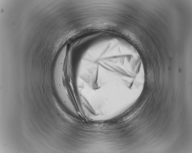 X0000061730493200512302149