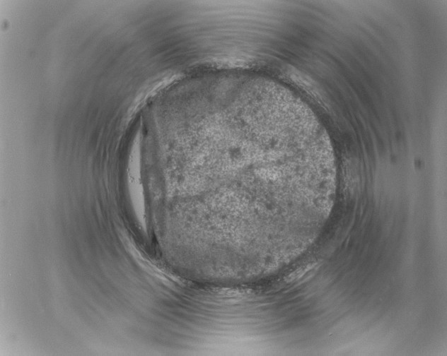 X0000061730494200512302149