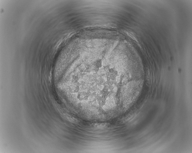 X0000061730495200512302149