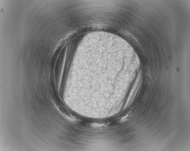 X0000061730496200512302149