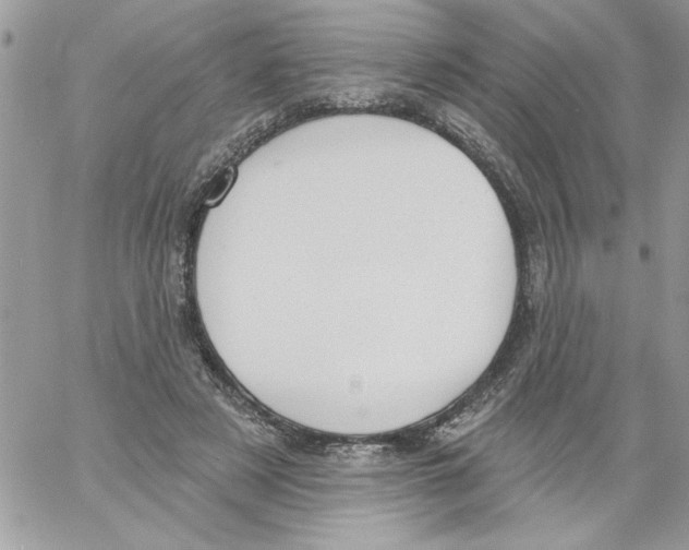 X0000061730497200512302149