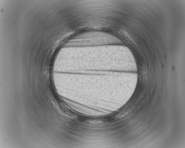 X0000061730500200512302149