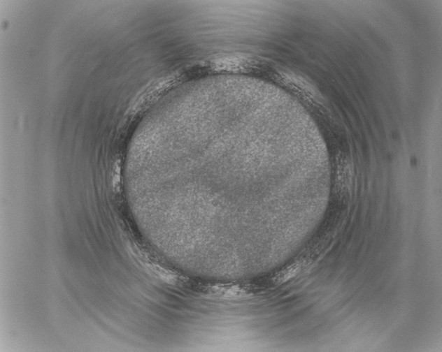 X0000061730502200512302149