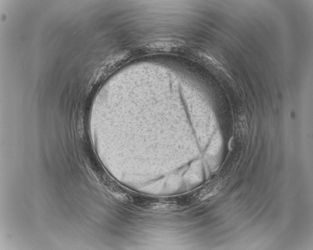 X0000061730504200512302149